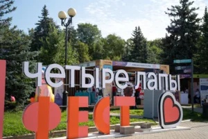 «Четыре Лапы Фест» стартовал: яркие кадры первого дня — в нашей ленте