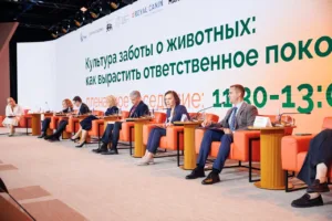 Как «фиджитал»-форматы и зооволонтерство меняют школьное образование в России