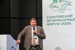 Почему кошкам нельзя давать парацетамол: ветеринар объяснил, в чем опасность