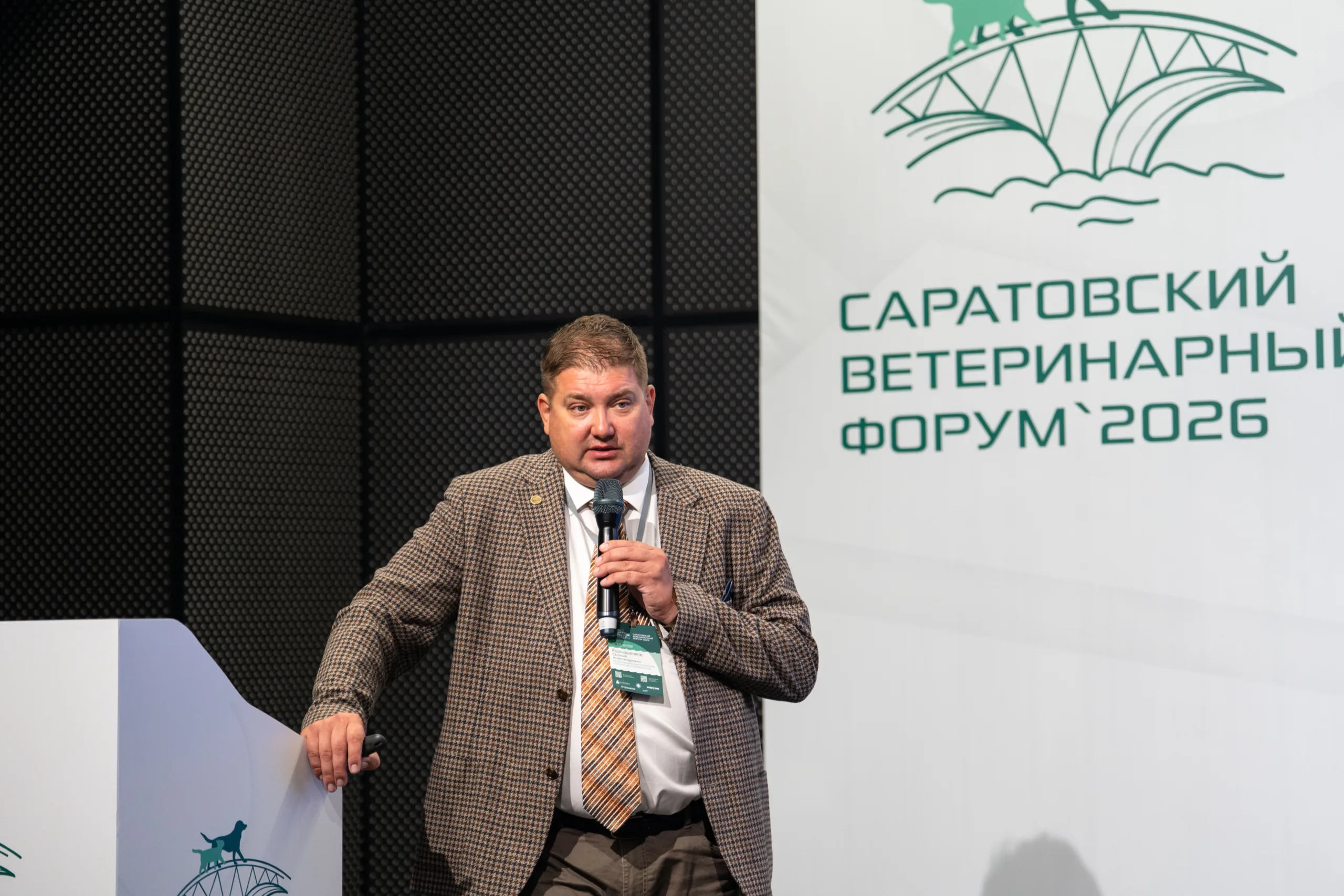 Почему кошкам нельзя давать парацетамол: ветеринар объяснил, в чем опасность