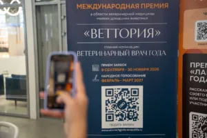 Кто выберет лучших ветеринарных врачей: объявлен состав жюри премии «ВЕТТОРИЯ»